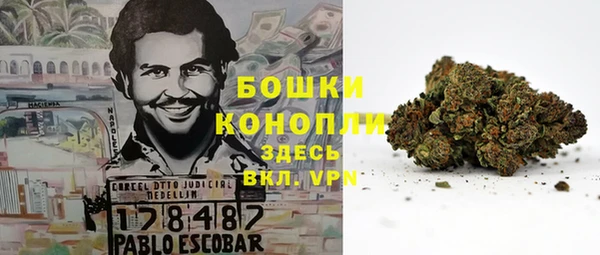 дурь Алексеевка