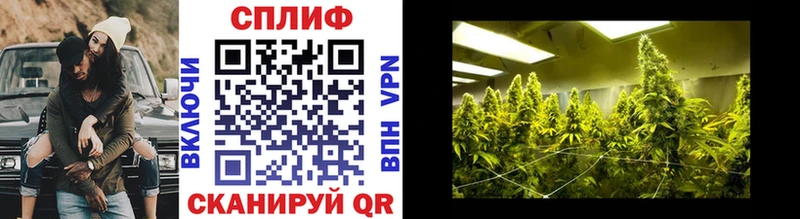 даркнет какой сайт  Биробиджан  Бошки марихуана Amnesia 